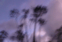 mxico 2007 - uruguay 2008
