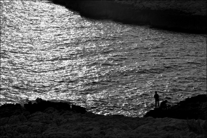 2010_1485
